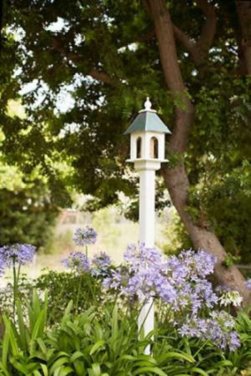 Bird Houses II Poster Print by Karyn Millet - Item # VARPDXPSMLT588